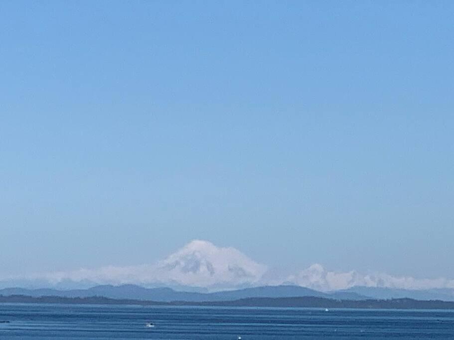 Victoria Vacations - LOCATION LOCATION LOCATION IMMACULATE 1 BEDROOM SUITE - Property Image 57