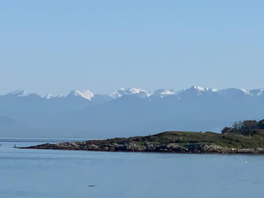 Victoria Vacations - LOCATION LOCATION LOCATION IMMACULATE 1 BEDROOM SUITE - Property Image 94