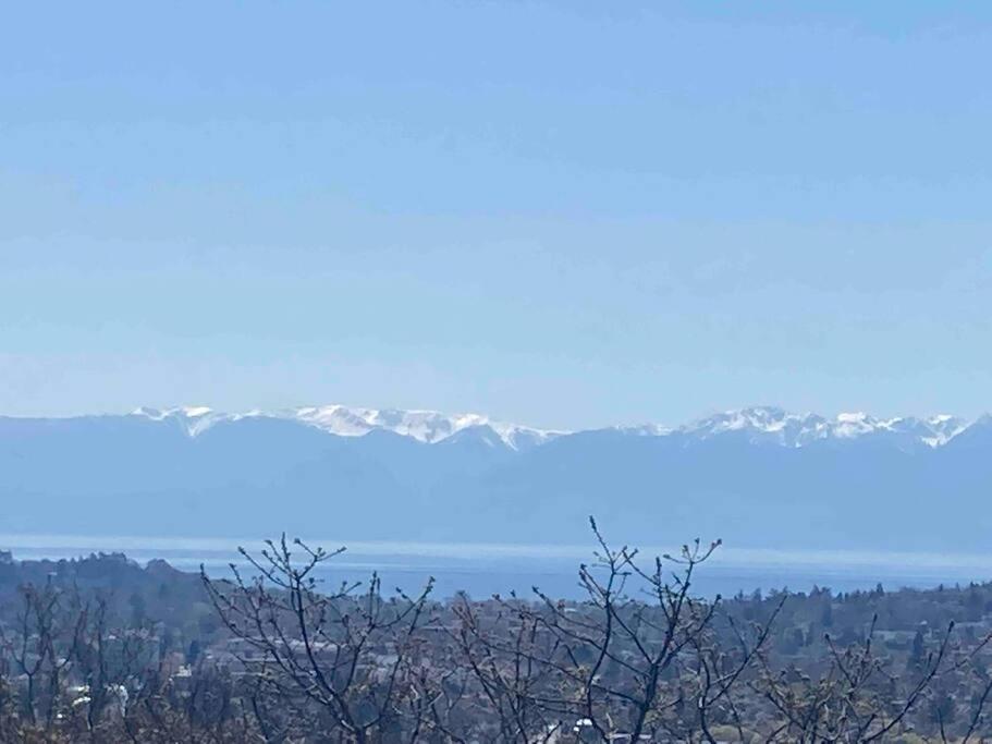 Victoria Vacations - LOCATION LOCATION LOCATION IMMACULATE 1 BEDROOM SUITE - Property Image 33