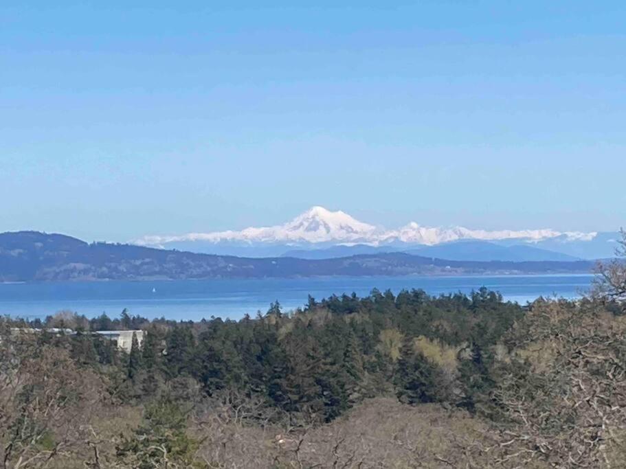 Victoria Vacations - LOCATION LOCATION LOCATION IMMACULATE 1 BEDROOM SUITE - Property Image 28