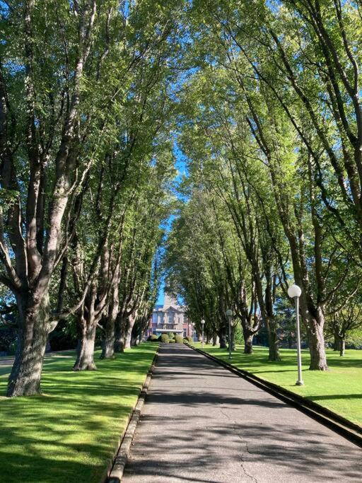 Victoria Vacations - LOCATION LOCATION LOCATION IMMACULATE 1 BEDROOM SUITE - Property Image 82