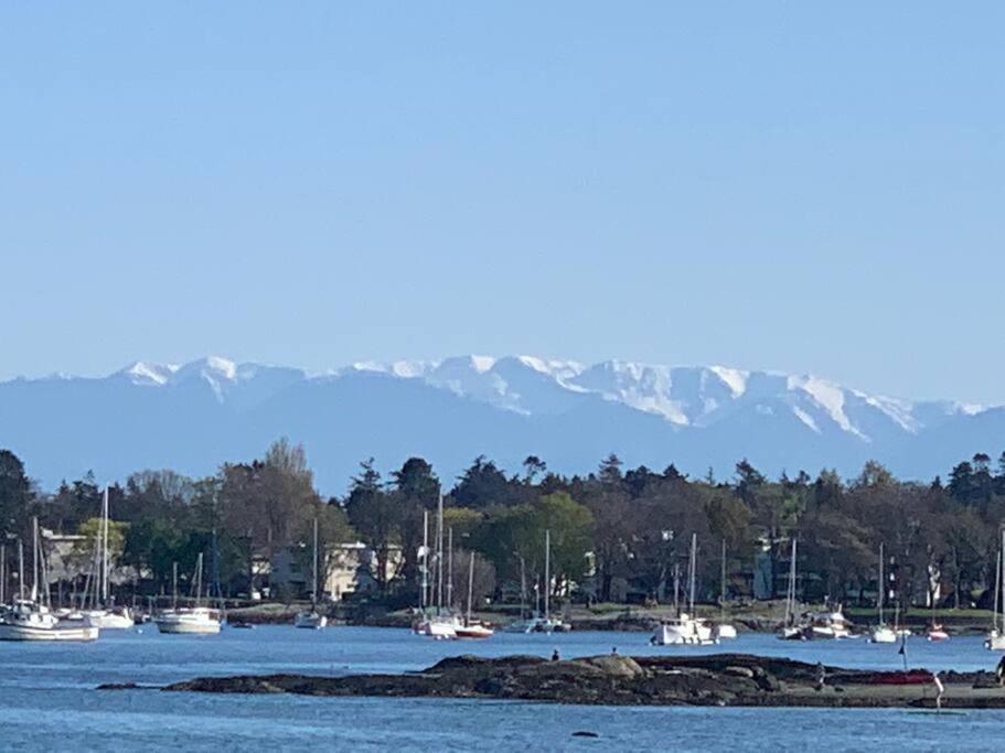 Victoria Vacations - LOCATION LOCATION LOCATION IMMACULATE 1 BEDROOM SUITE - Property Image 58