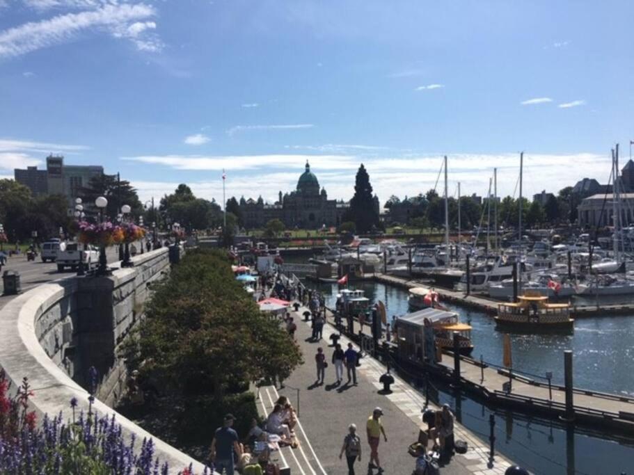 Victoria Vacations - LOCATION LOCATION LOCATION IMMACULATE 1 BEDROOM SUITE - Property Image 36