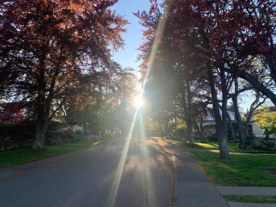 Victoria Vacations - LOCATION LOCATION LOCATION IMMACULATE 1 BEDROOM SUITE - Property Image 81