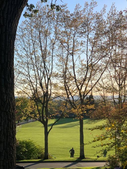 Victoria Vacations - LOCATION LOCATION LOCATION IMMACULATE 1 BEDROOM SUITE - Property Image 37