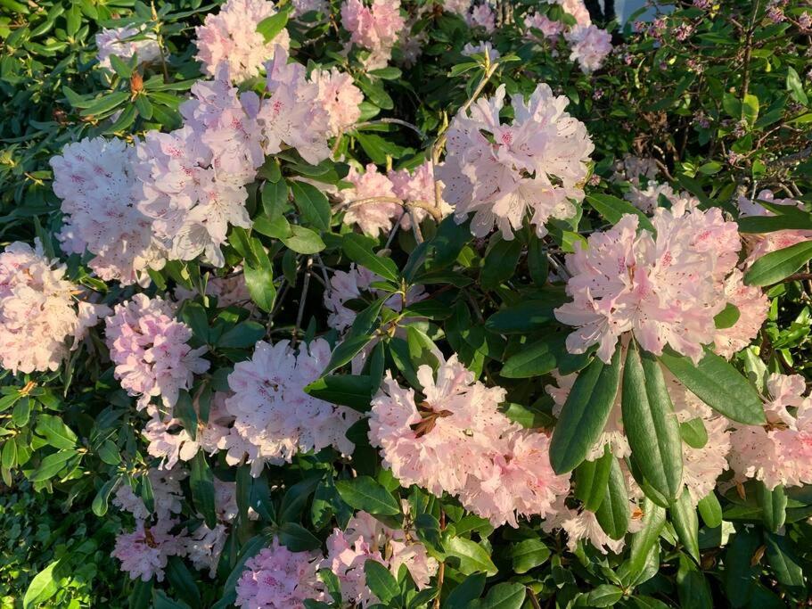 Victoria Vacations - LOCATION LOCATION LOCATION IMMACULATE 1 BEDROOM SUITE - Property Image 32