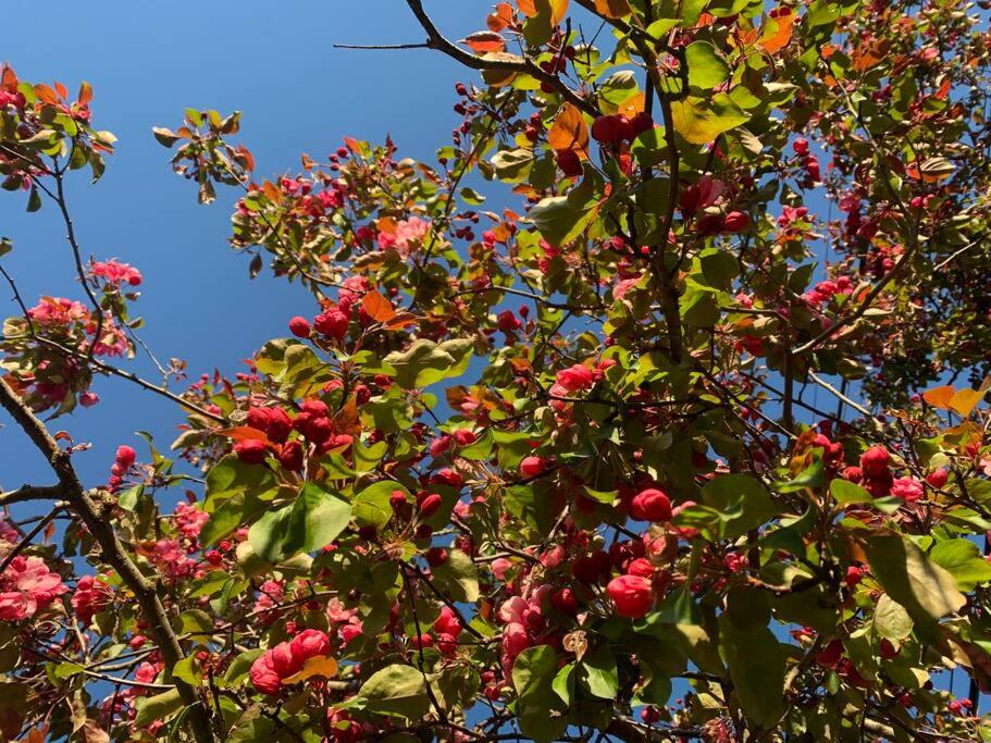 Victoria Vacations - LOCATION LOCATION LOCATION IMMACULATE 1 BEDROOM SUITE - Property Image 35