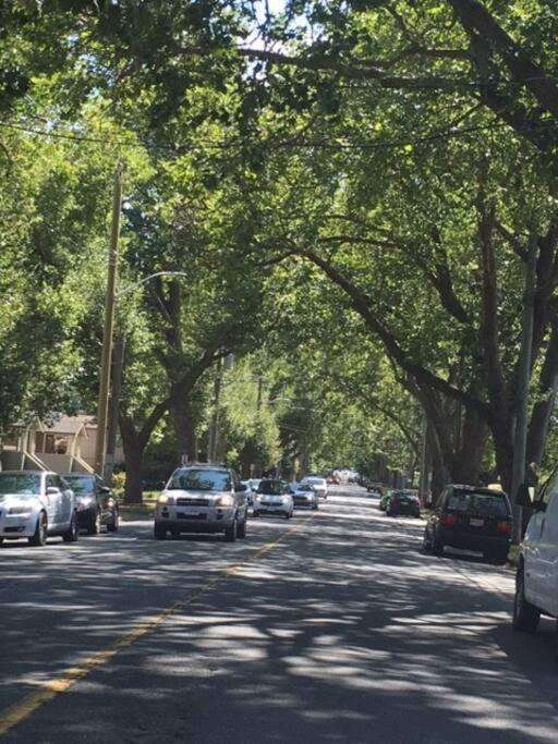 Victoria Vacations - LOCATION LOCATION LOCATION IMMACULATE 1 BEDROOM SUITE - Property Image 70