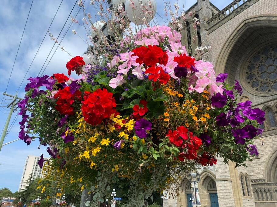 Victoria Vacations - LOCATION LOCATION LOCATION IMMACULATE 1 BEDROOM SUITE - Property Image 90