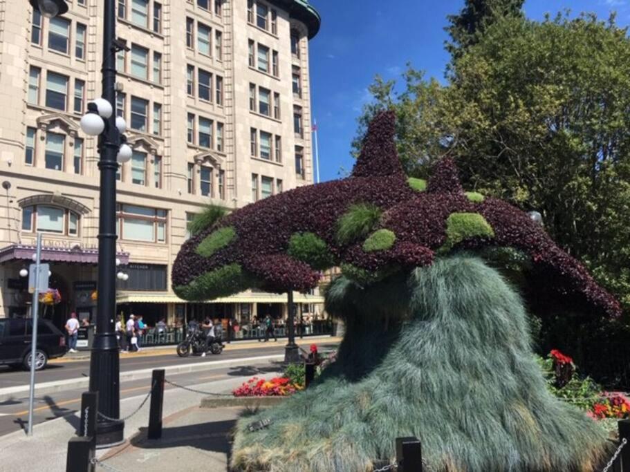 Victoria Vacations - LOCATION LOCATION LOCATION IMMACULATE 1 BEDROOM SUITE - Property Image 93