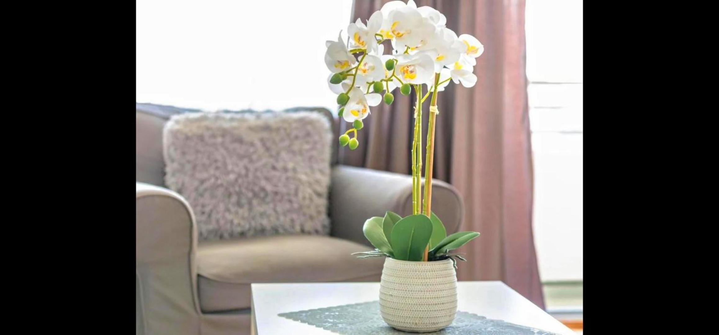 Cozy Neuss Apartment with Modern Amenities