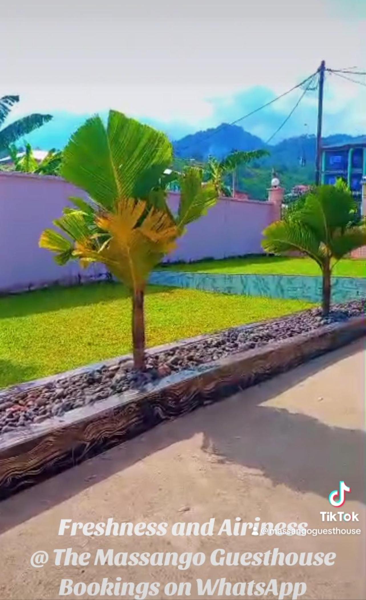 Massango Guesthouse (The Diamond Princess)