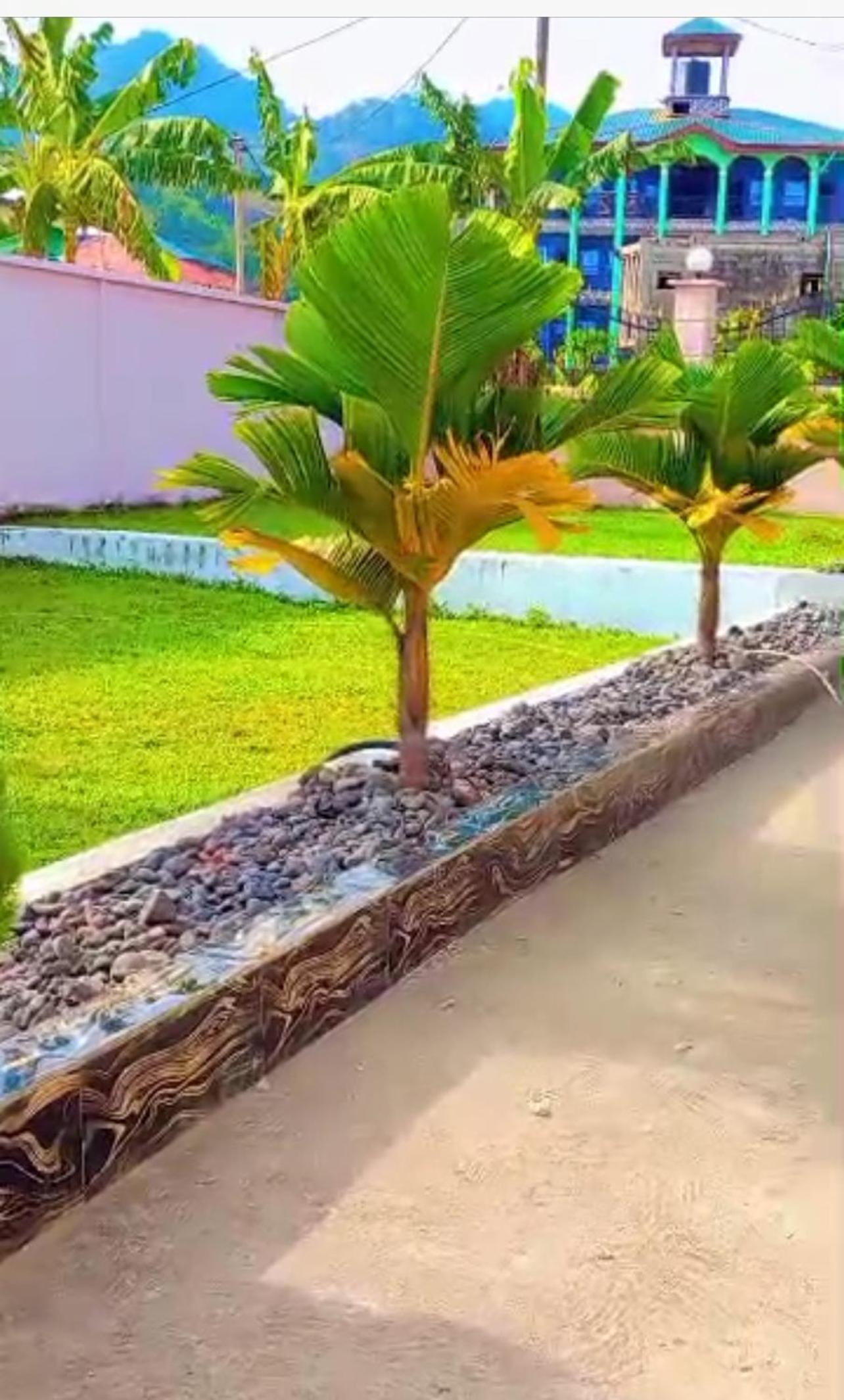 Massango Guesthouse (The Diamond Princess)