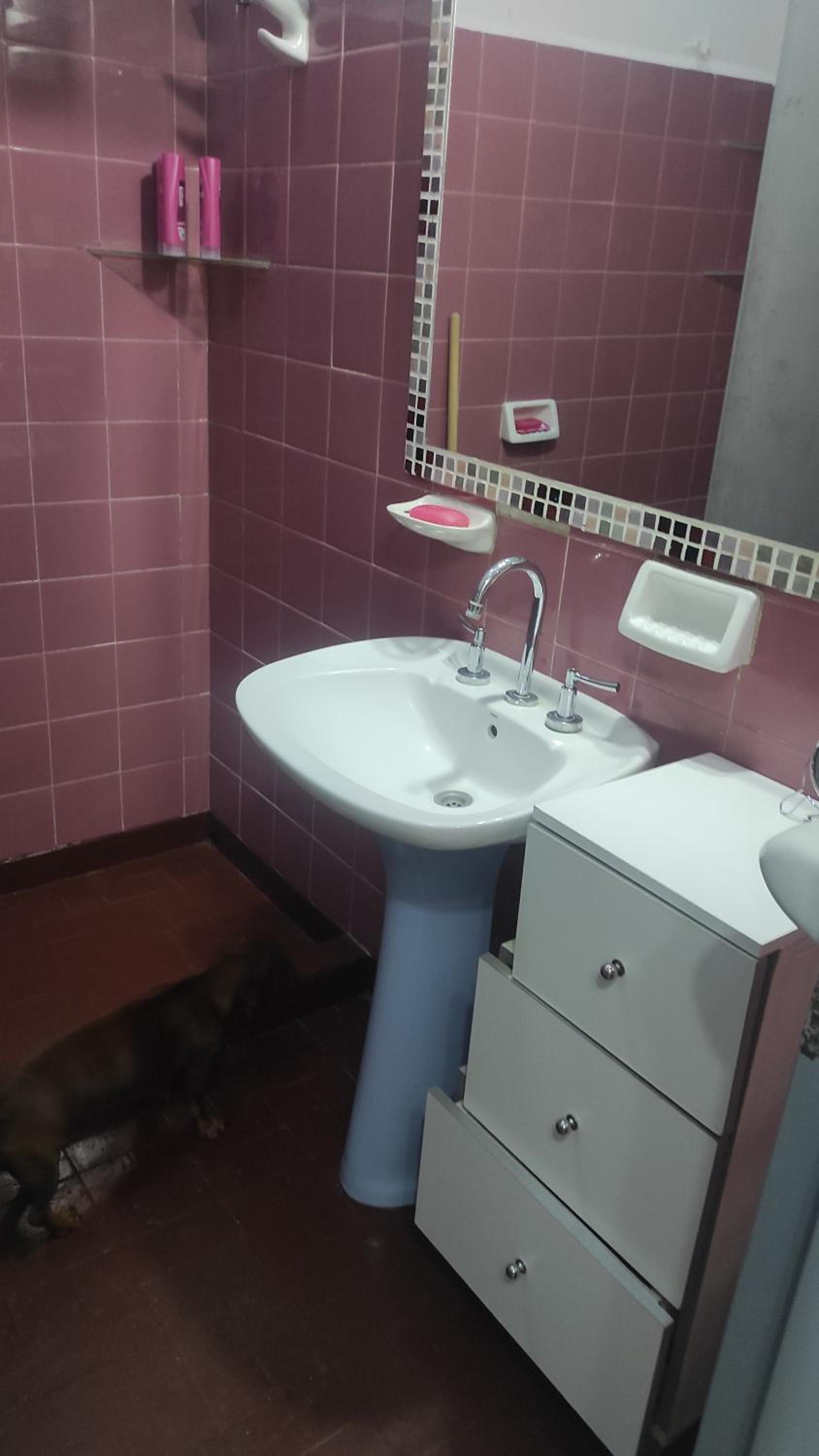 casa con garaje rejas pileta y camaras a 24 minutos del aeropuerto Ezeiza Amplio parque para mascotas tranfer las 24 horas