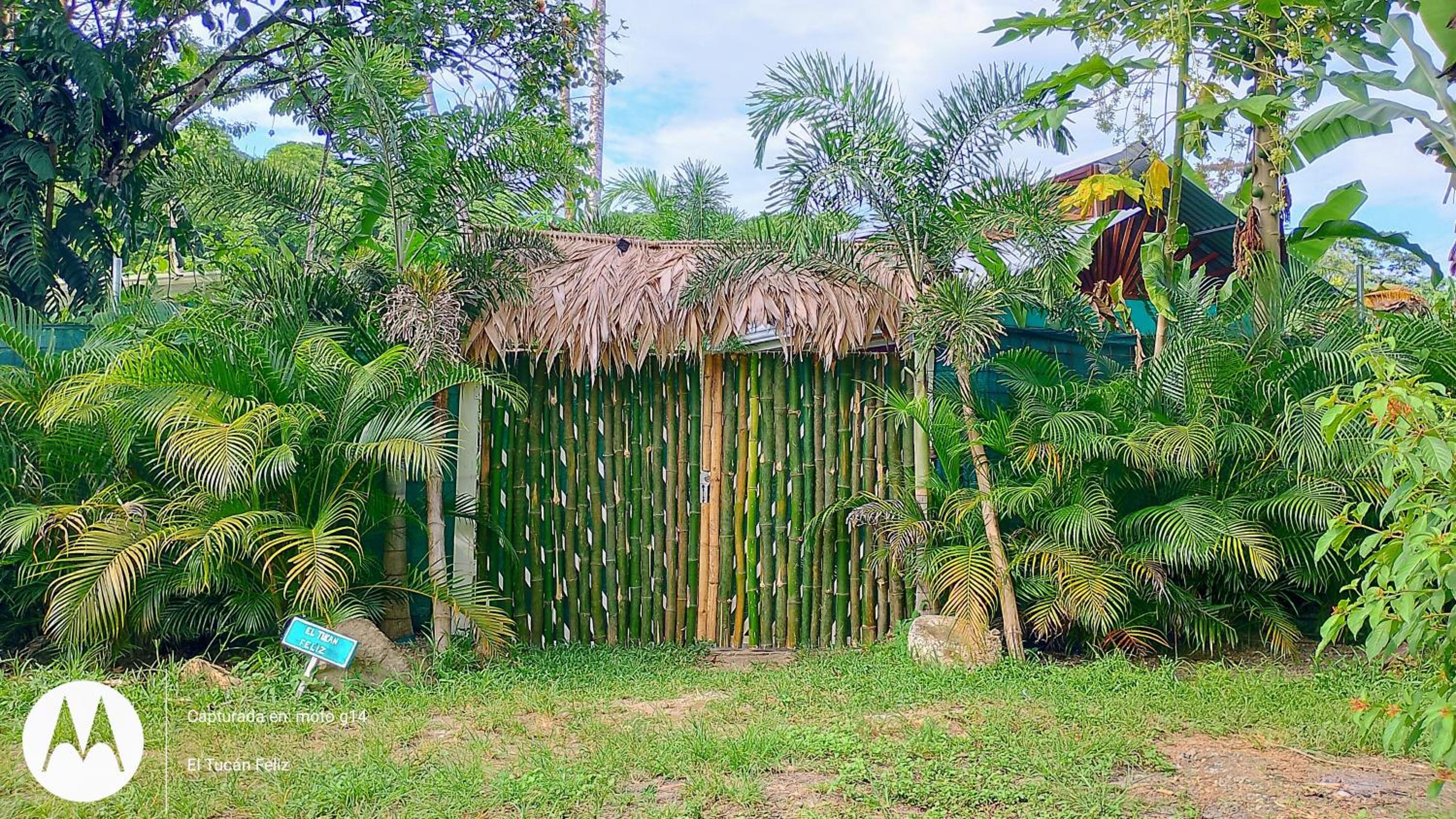 El Tucan Feliz - Boho Jungle Tiny Guest House & Mini Pool Oasis