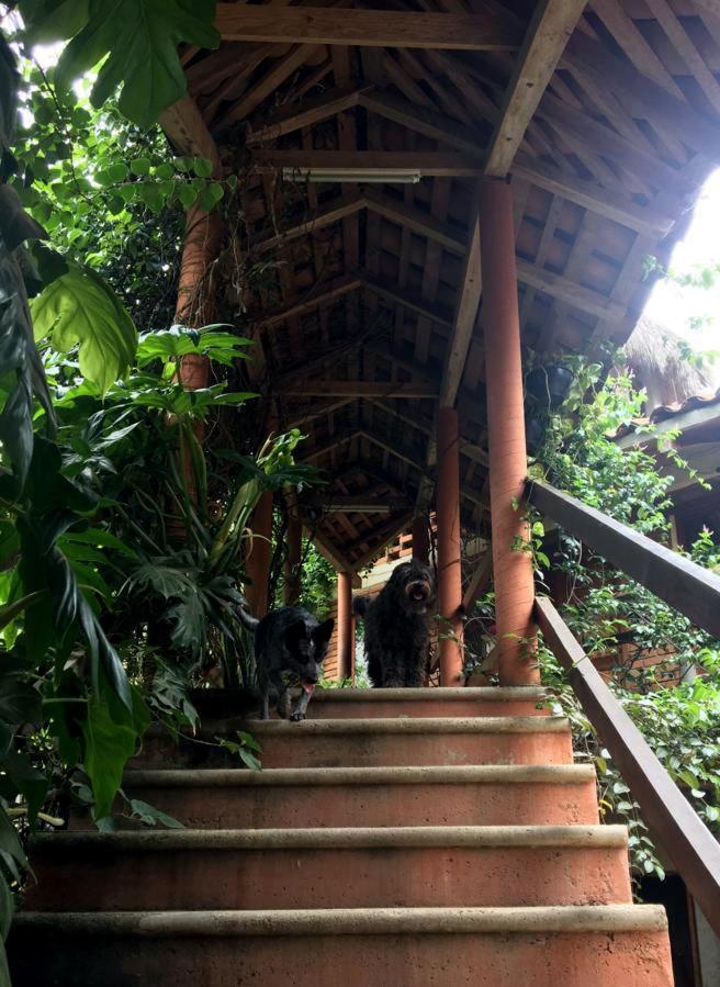 Casa H Rinconcito Mazunte