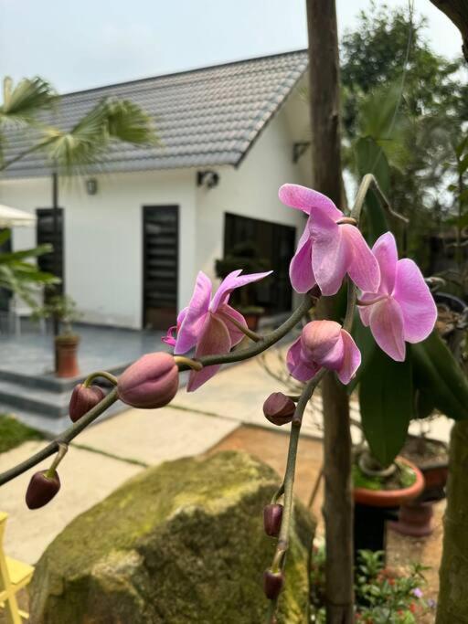 Đông Sơn Mountain Villa Bắc Ninh