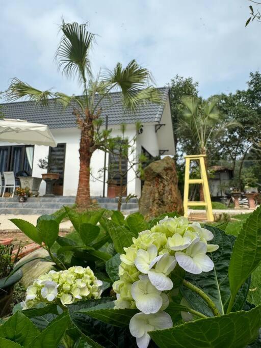 Đông Sơn Mountain Villa Bắc Ninh