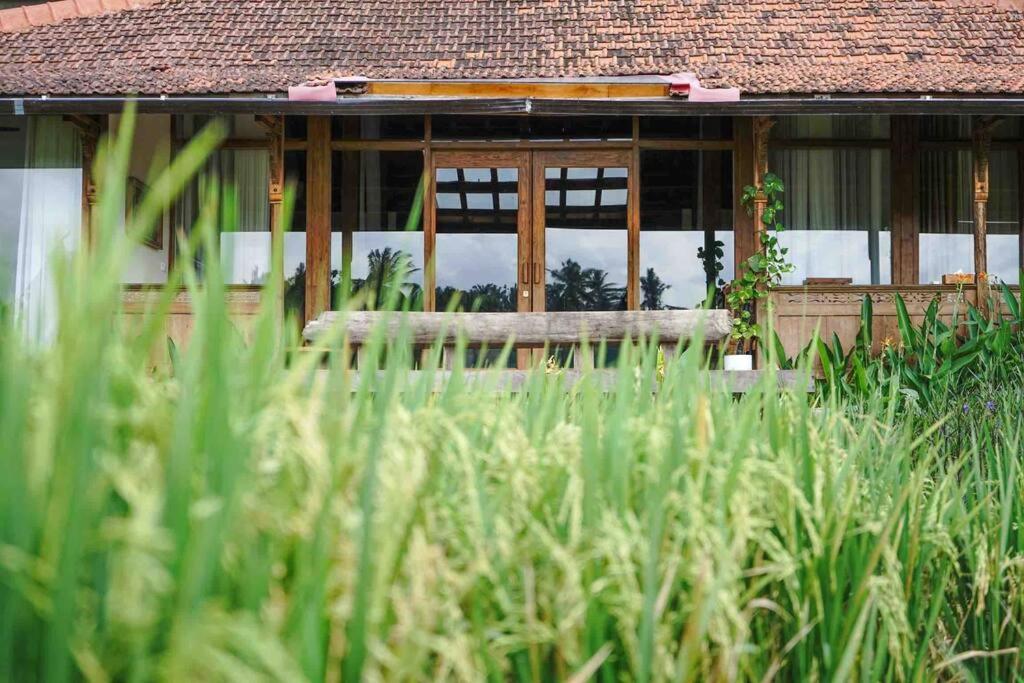 Villa Madura - new 3 BR Villa w/ rice paddy view