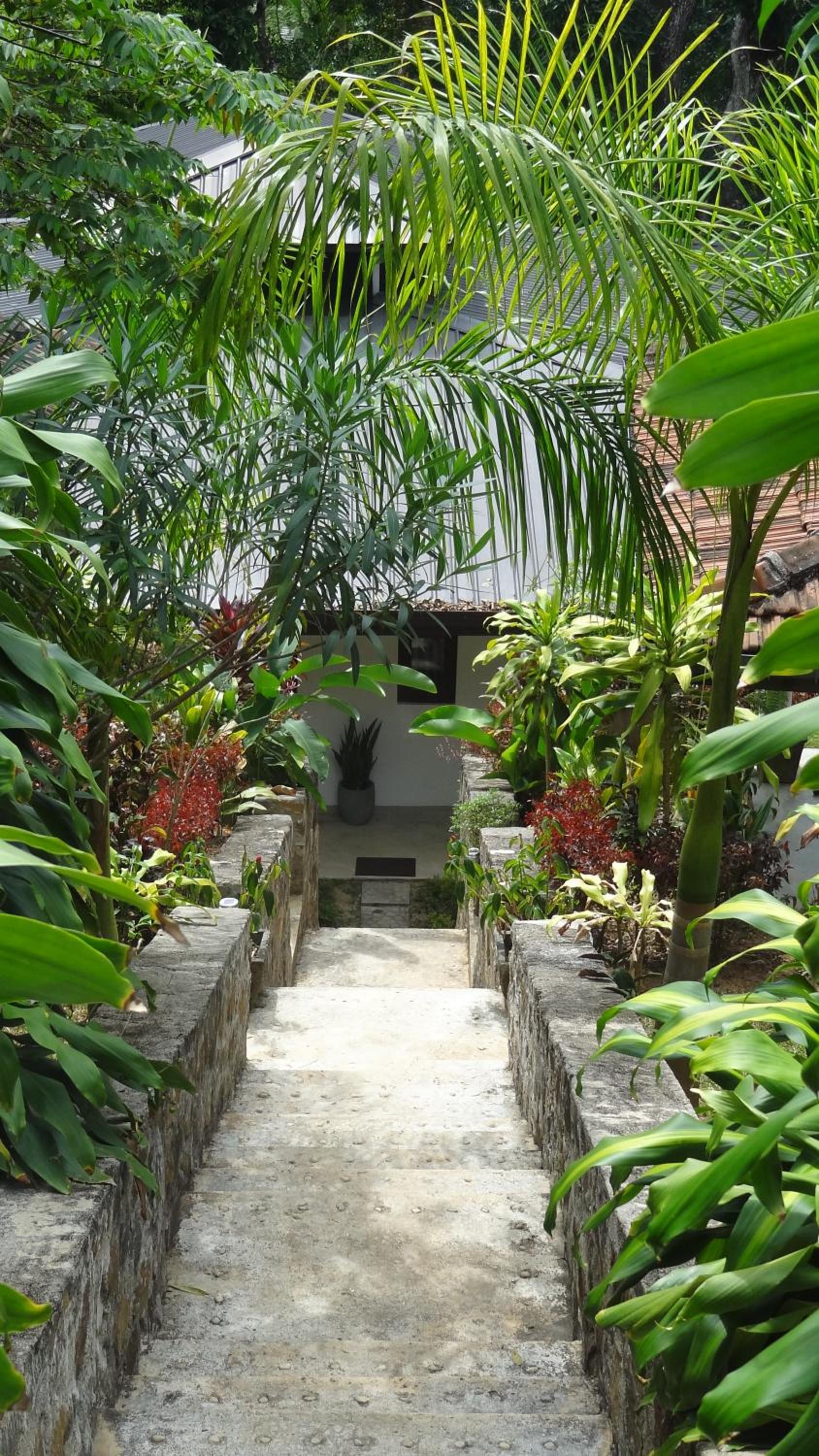 Monkey manor villa, Strathisla Tea Estate Bungalow view 5