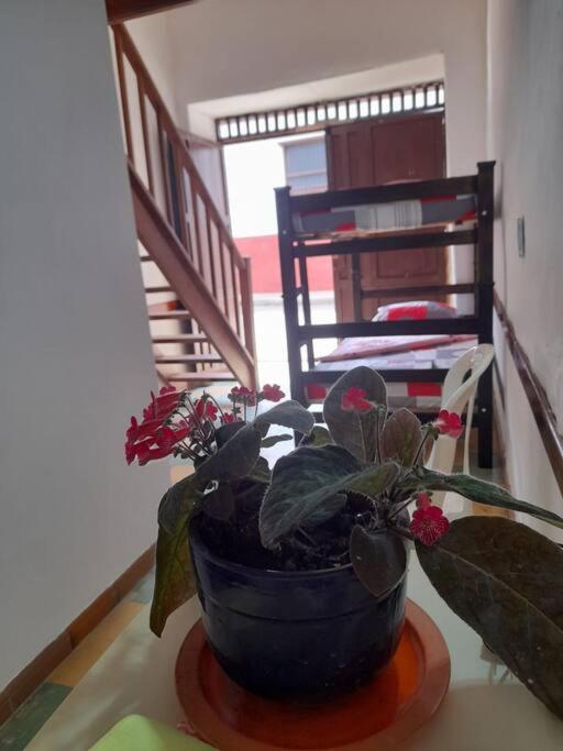 Apartaestudio cerca a parque Zapatoca