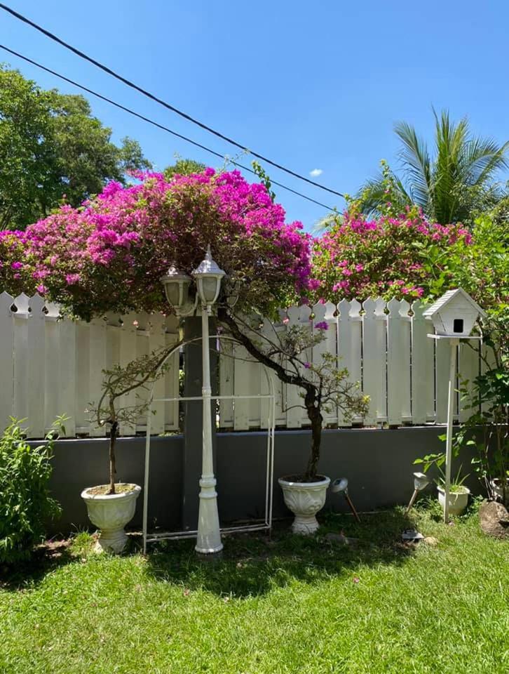 MENAREK GARDEN HOUSE