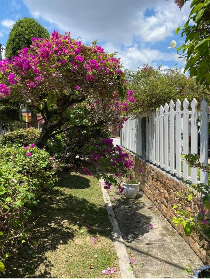 MENAREK GARDEN HOUSE