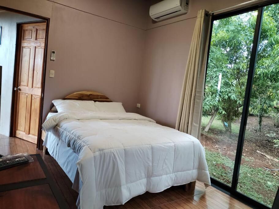 Chiri's Cabin