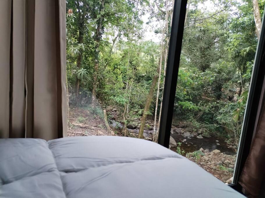 Chiri's Cabin