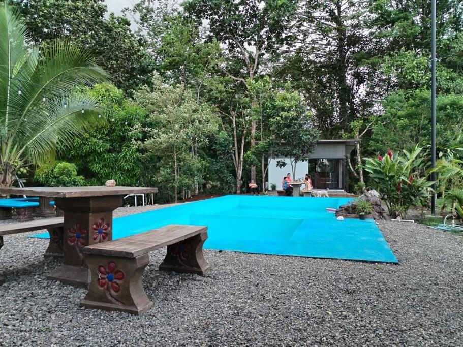 Chiri's Cabin