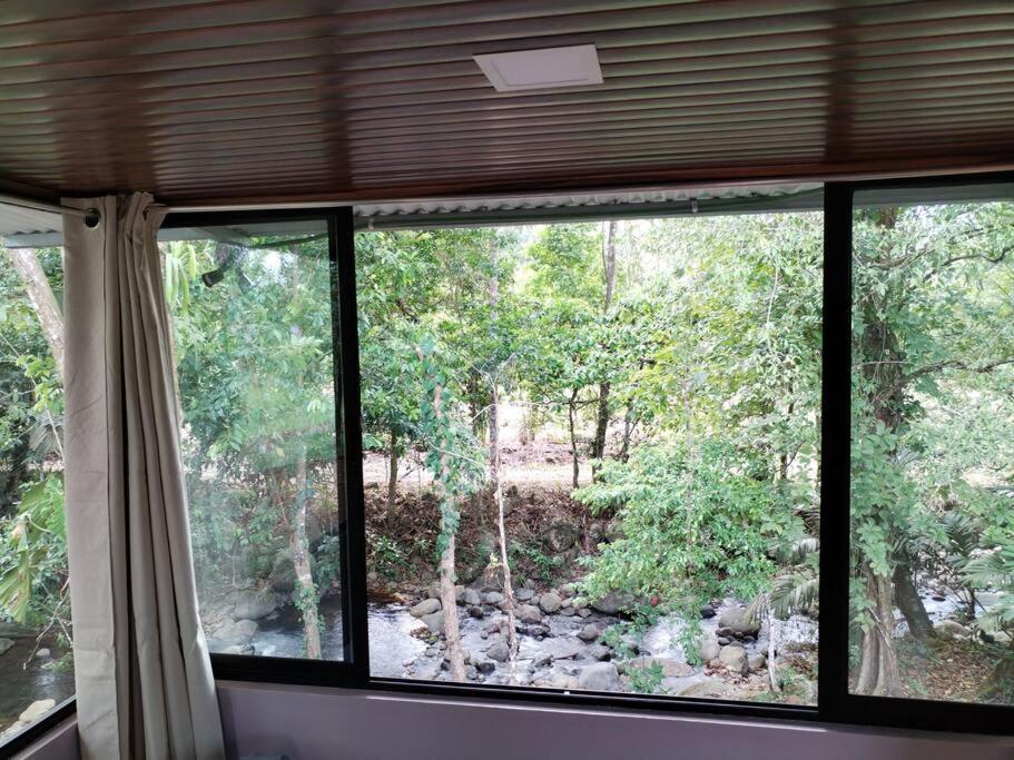 Chiri's Cabin