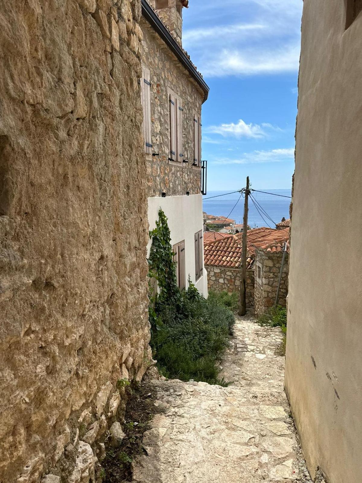 LION'S VILLA