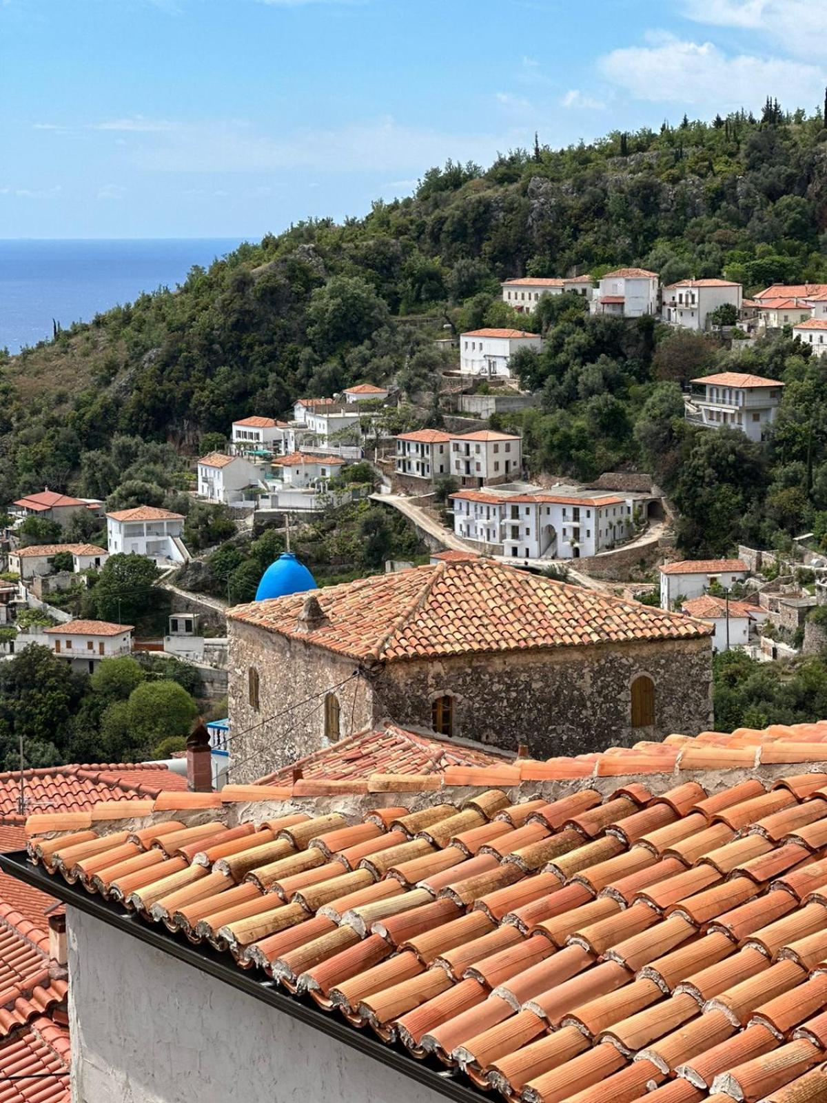 LION'S VILLA