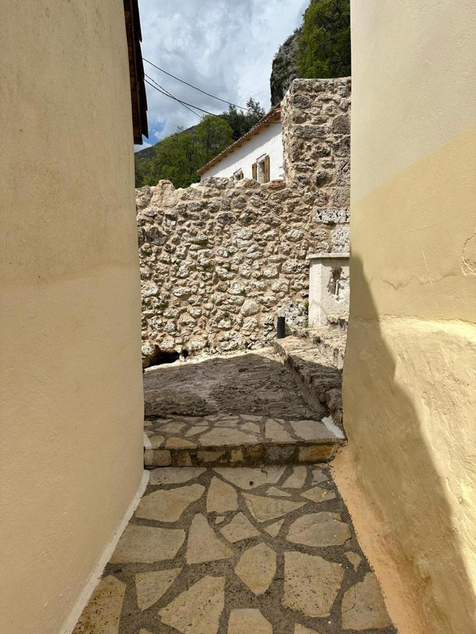 LION'S VILLA