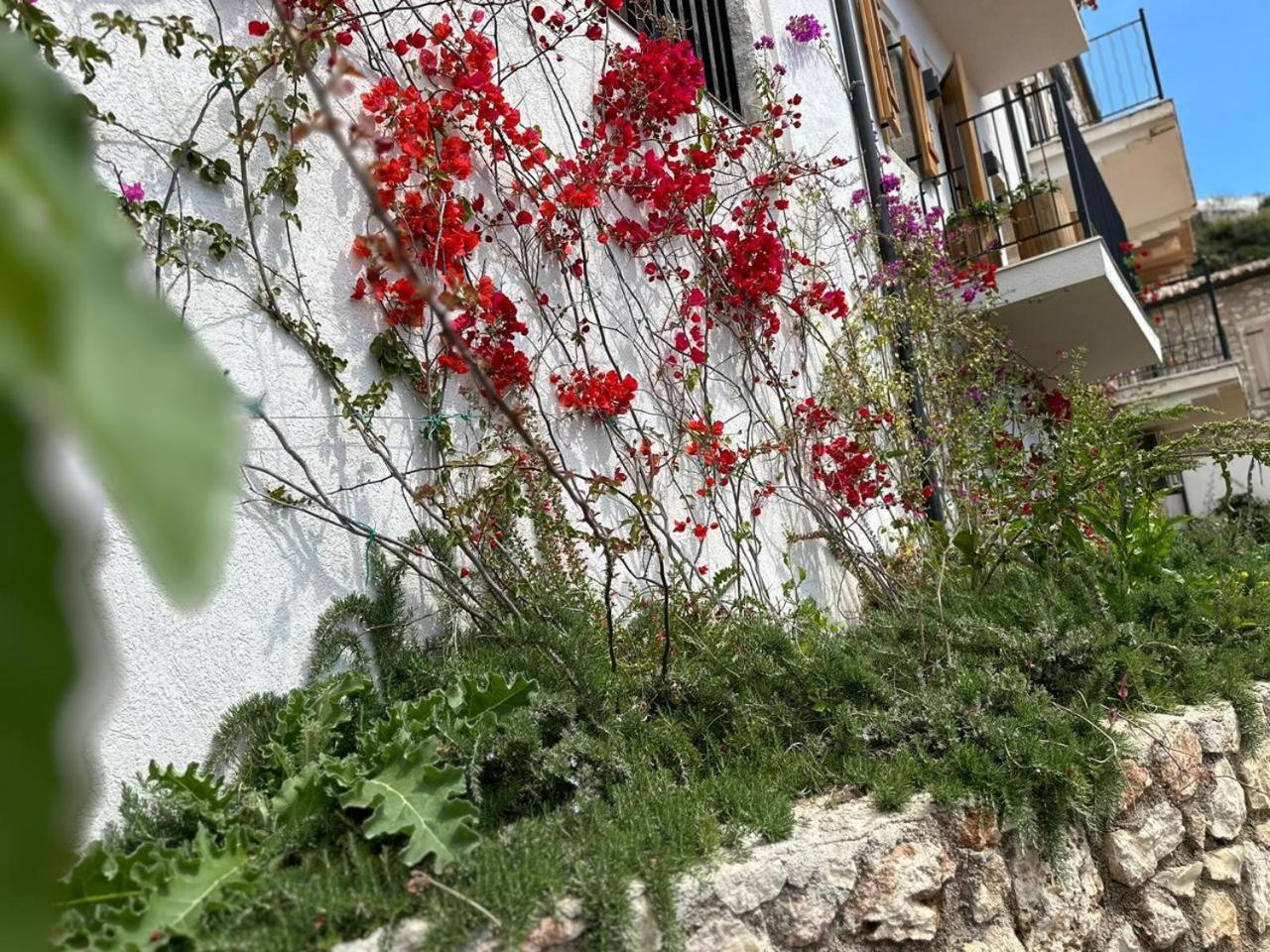 LION'S VILLA