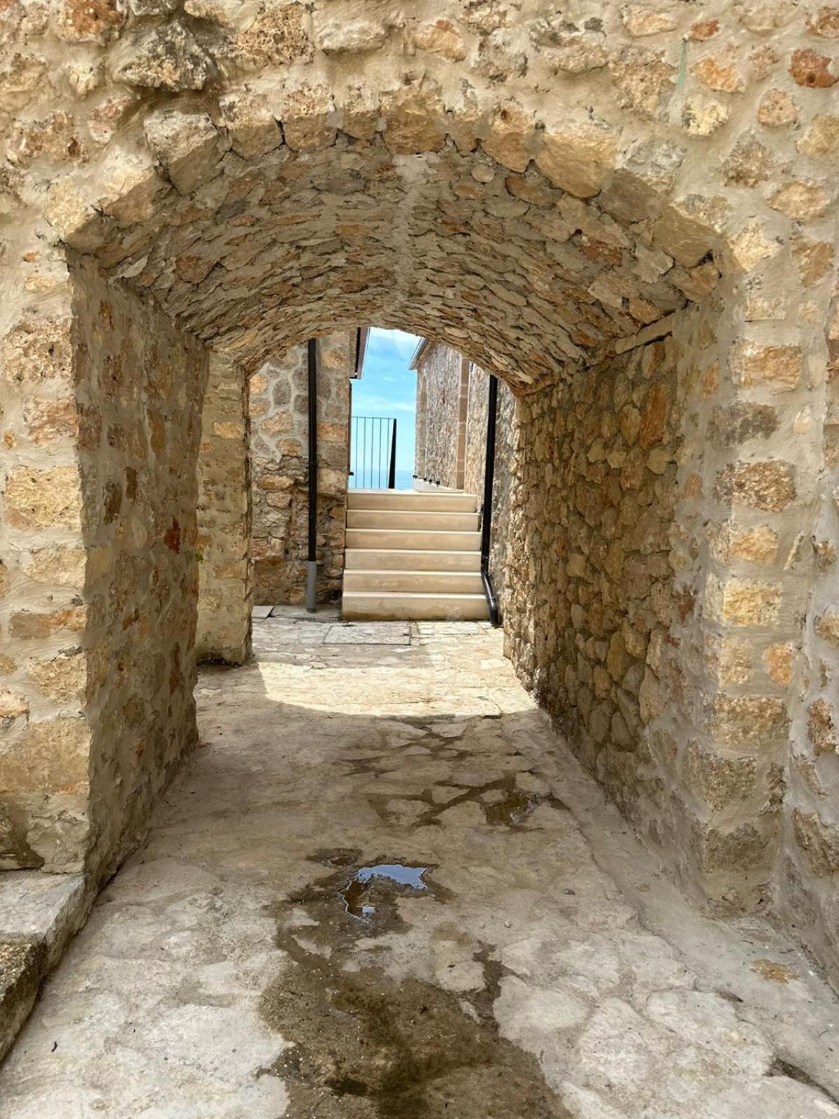 LION'S VILLA