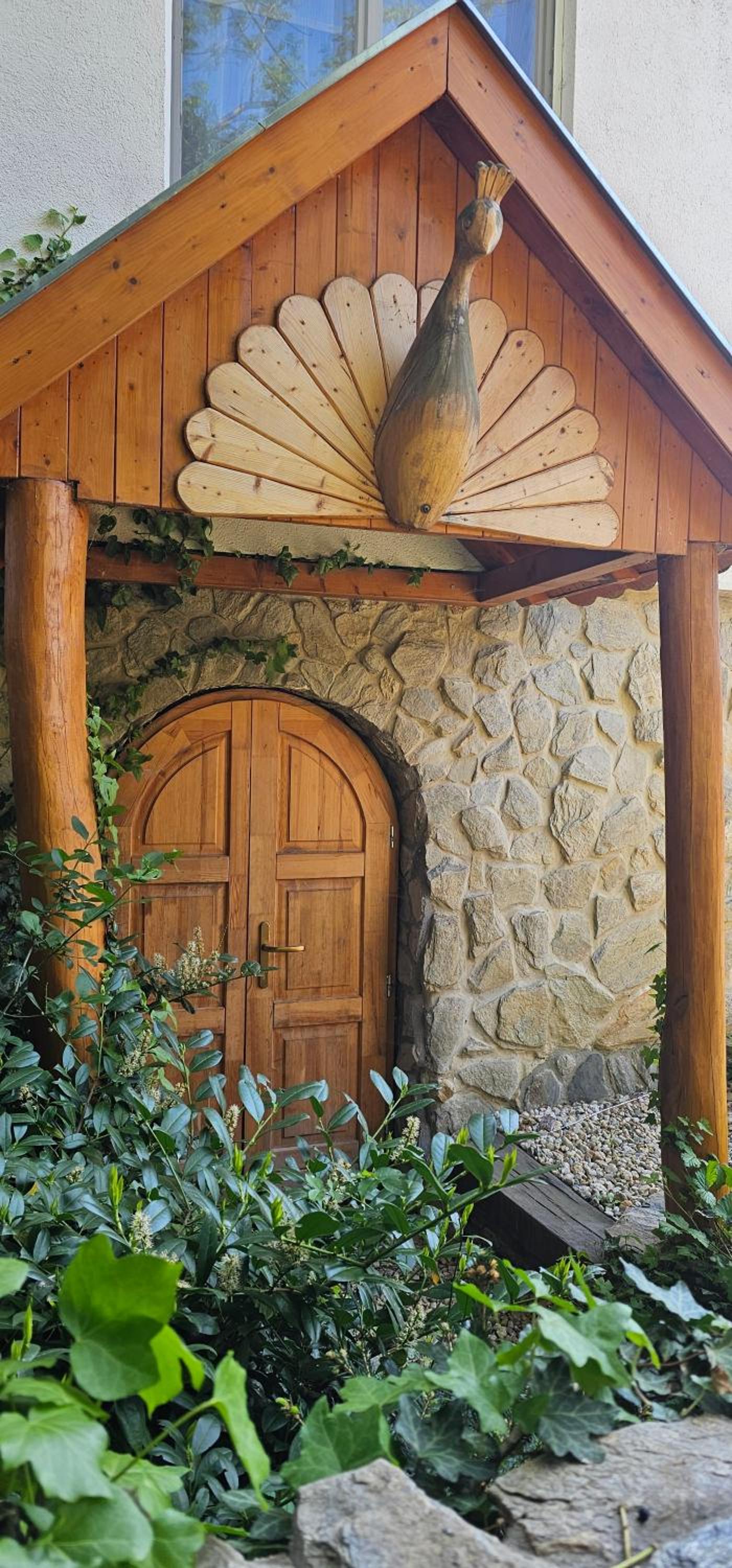 Photo 6