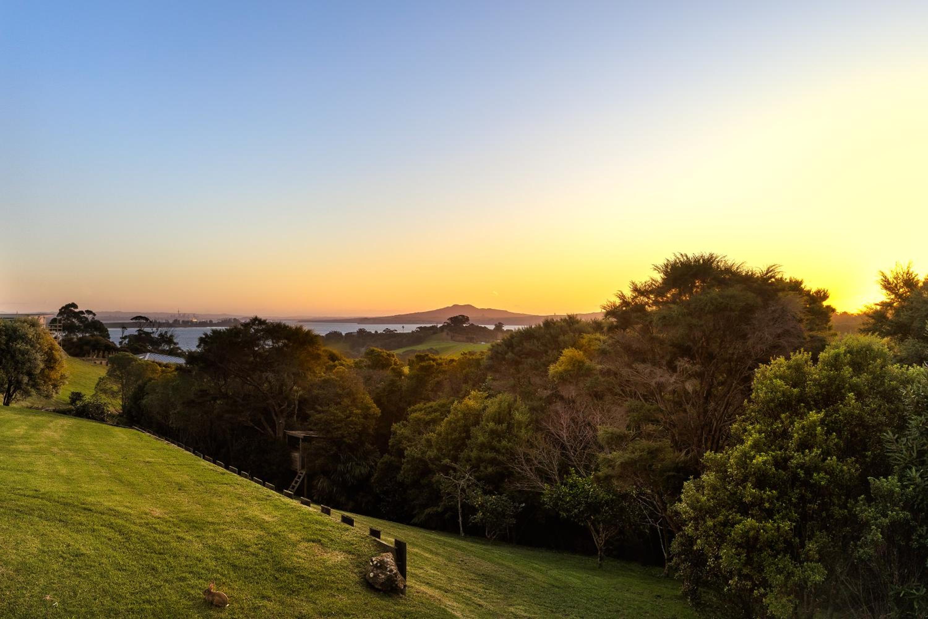 Cable Bay Views