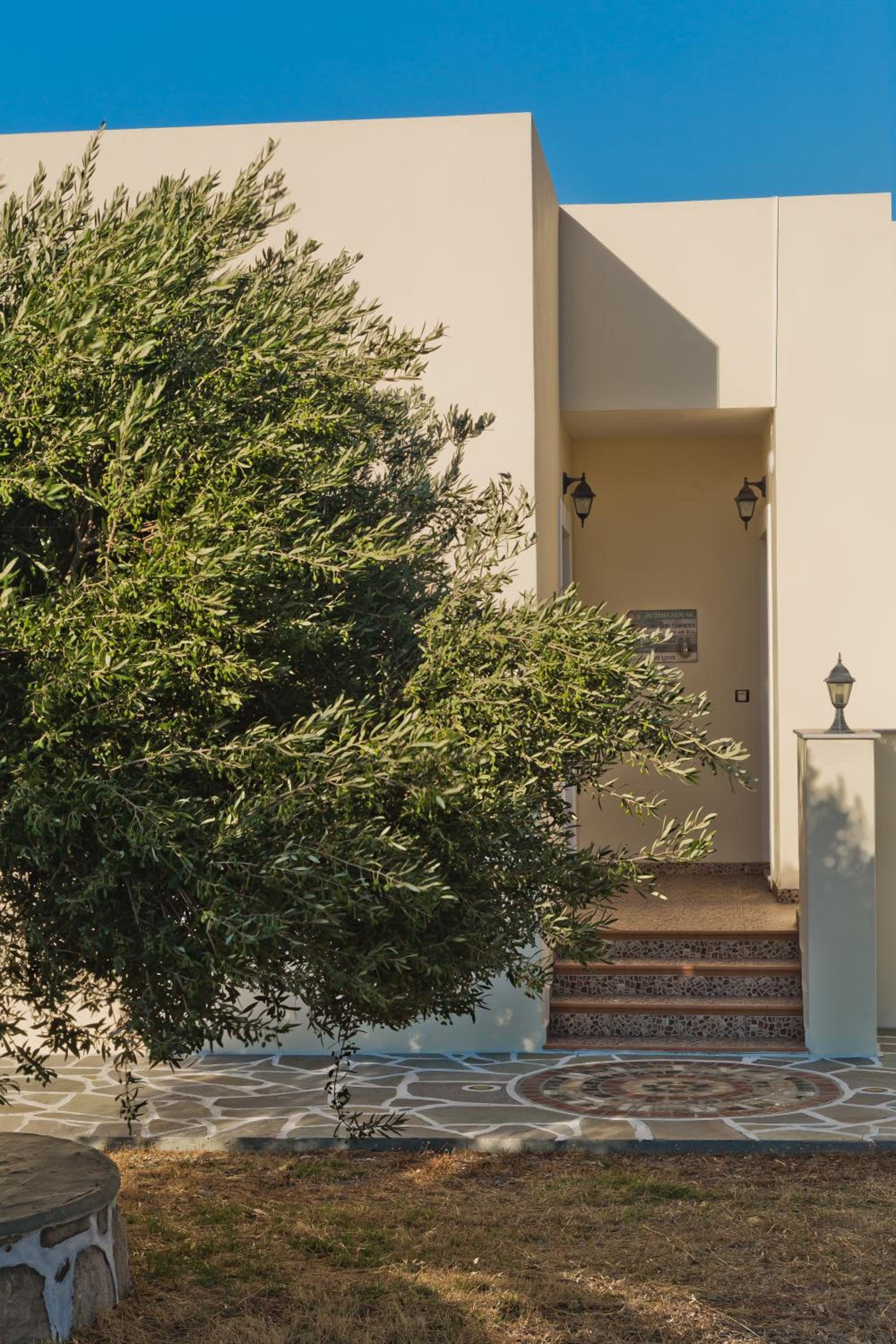 Olive Studios Karpathos Studio #4 photo 4