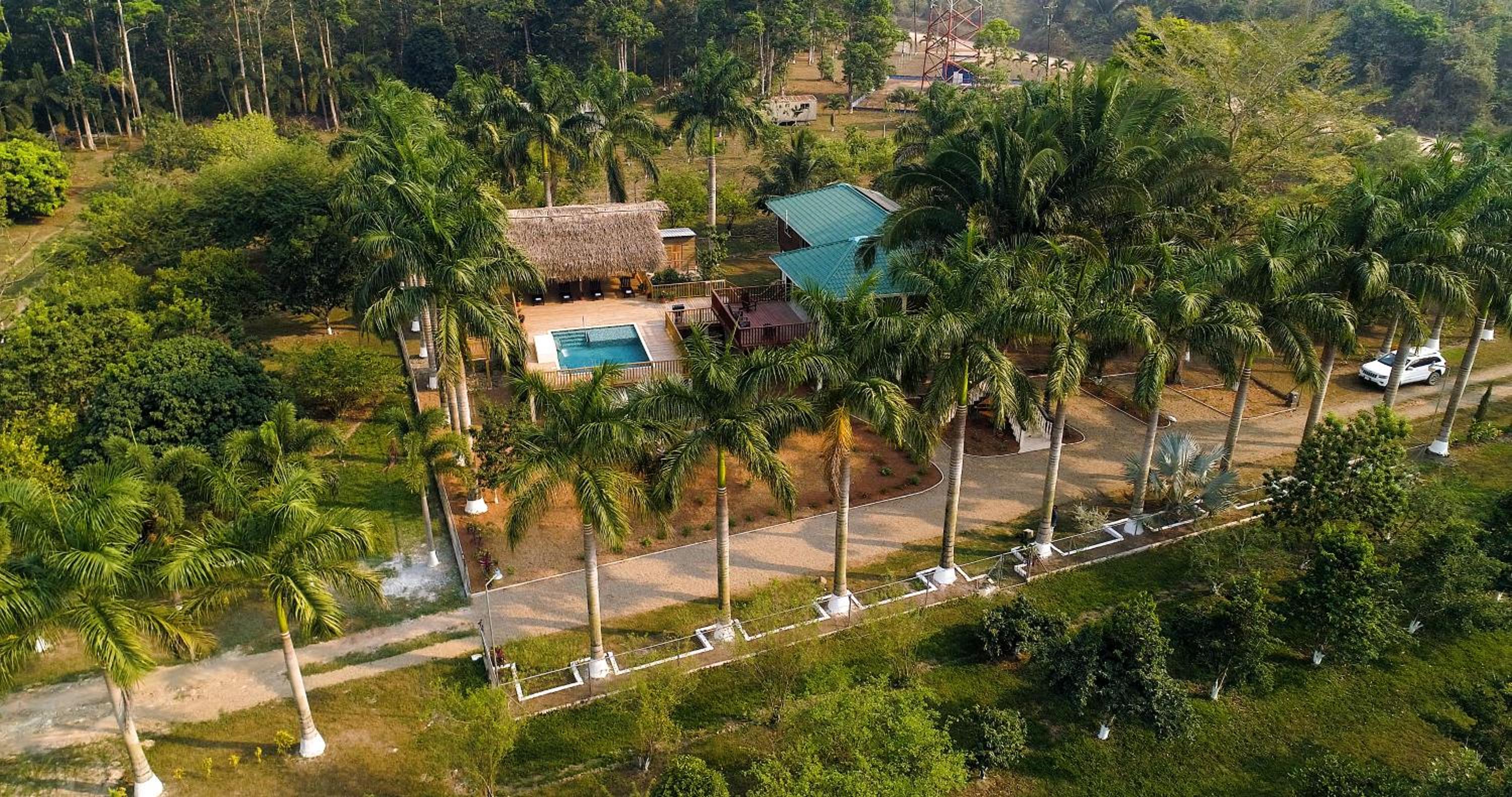 Luxury Jungle Estate Near Placencia peninsula--Exotica