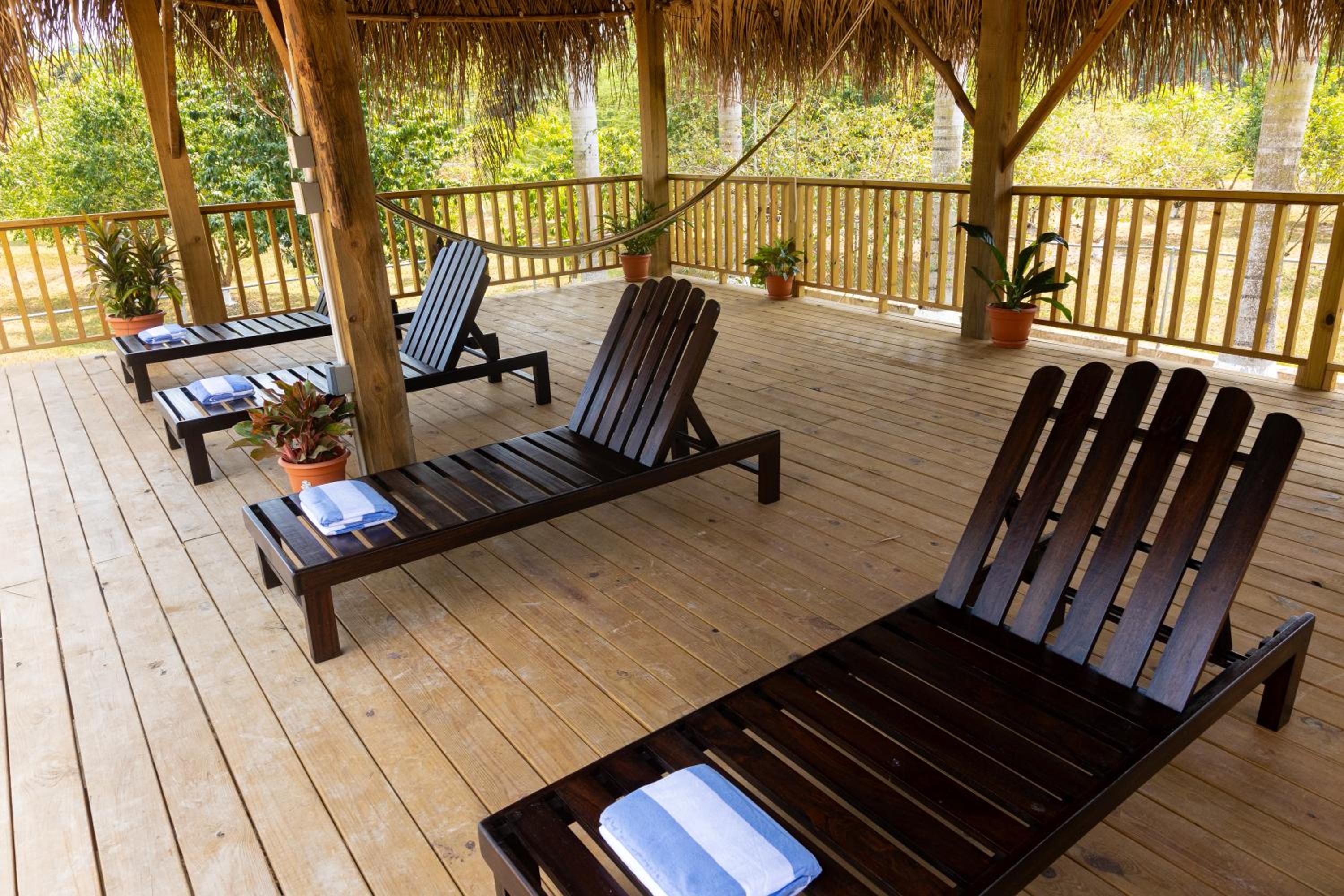 Luxury Jungle Estate Near Placencia peninsula--Exotica