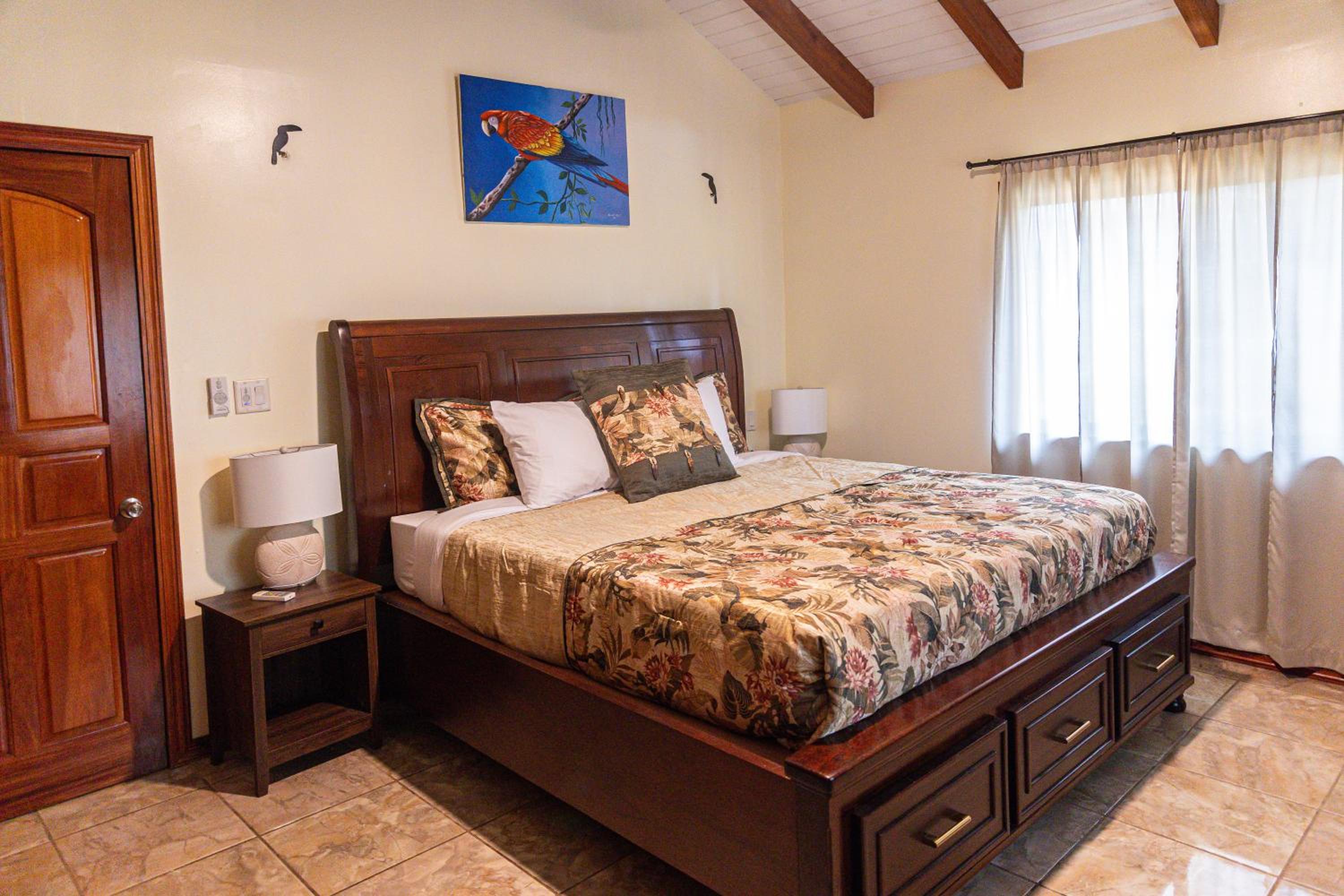 Luxury Jungle Estate Near Placencia peninsula--Exotica