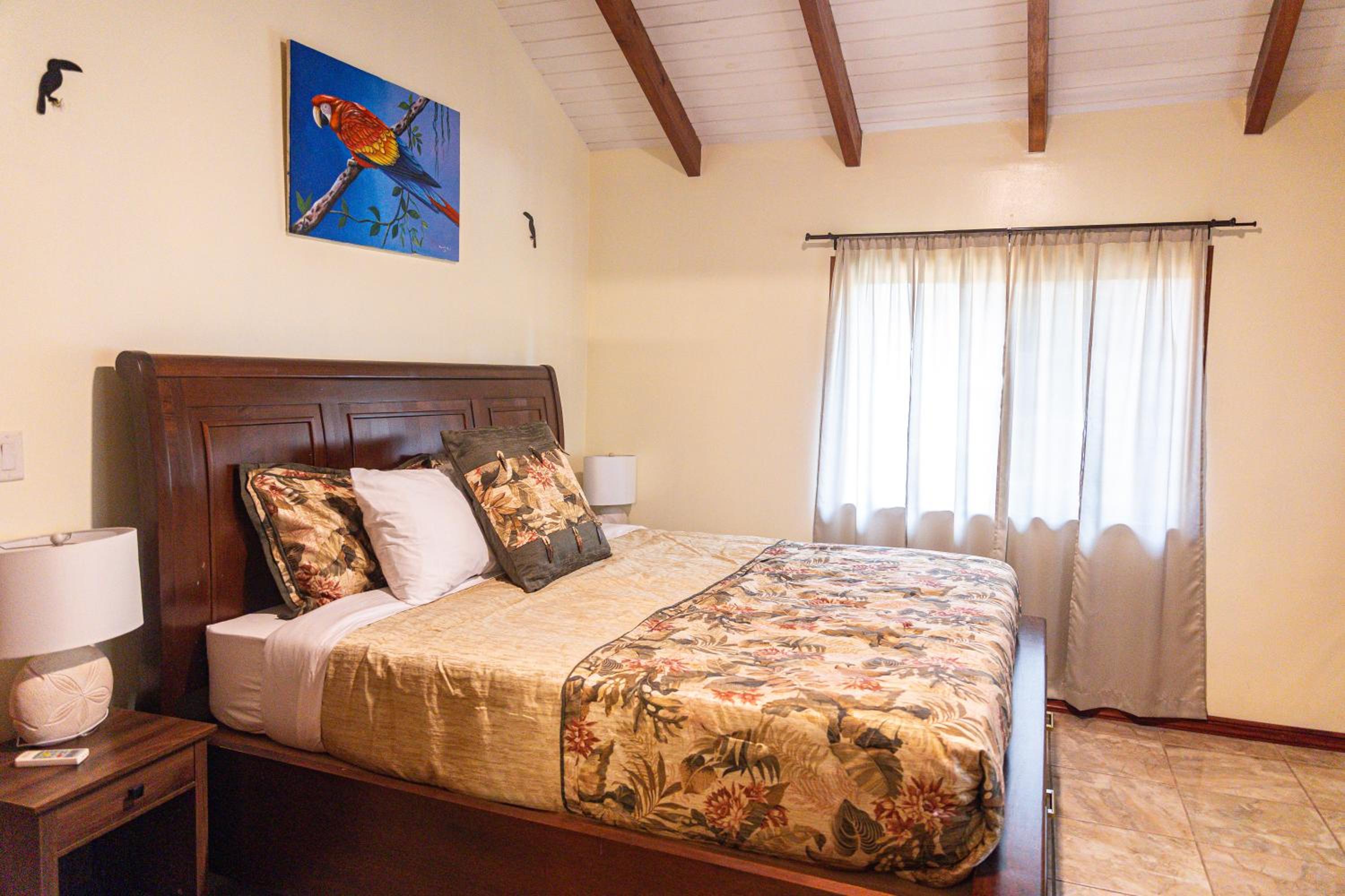 Luxury Jungle Estate Near Placencia peninsula--Exotica