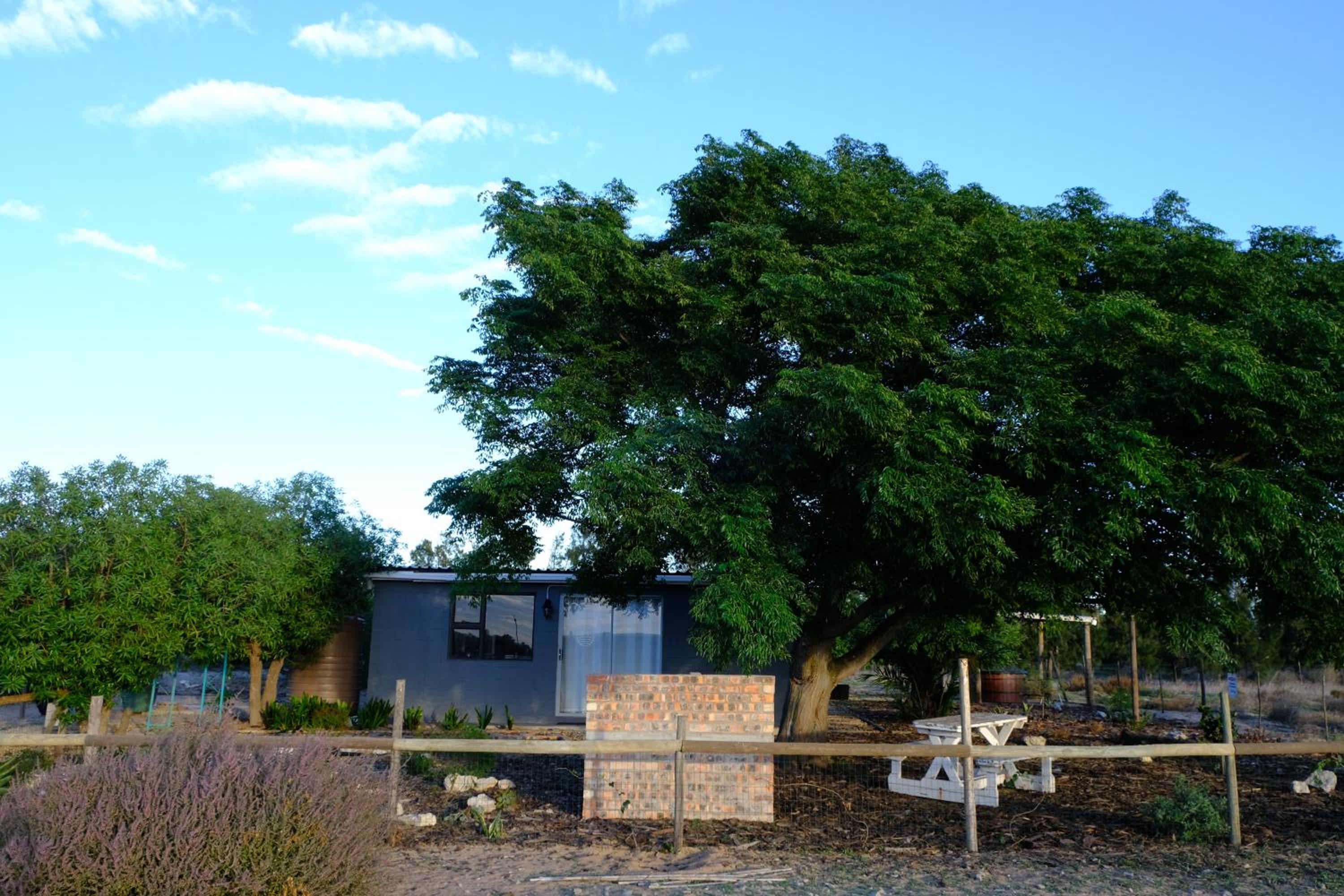 Photo 28