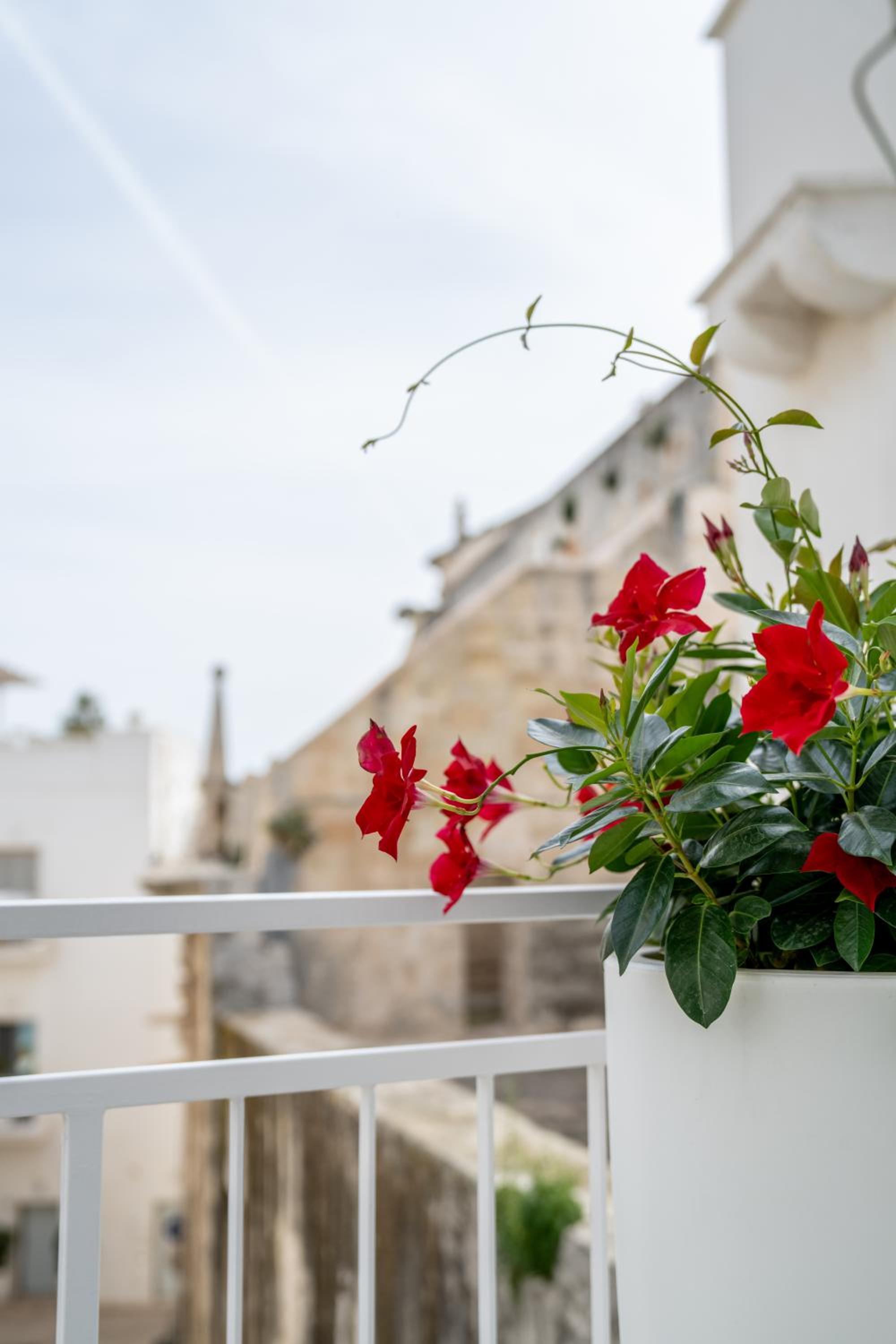 Innesto Rooms - Monopoli view 4