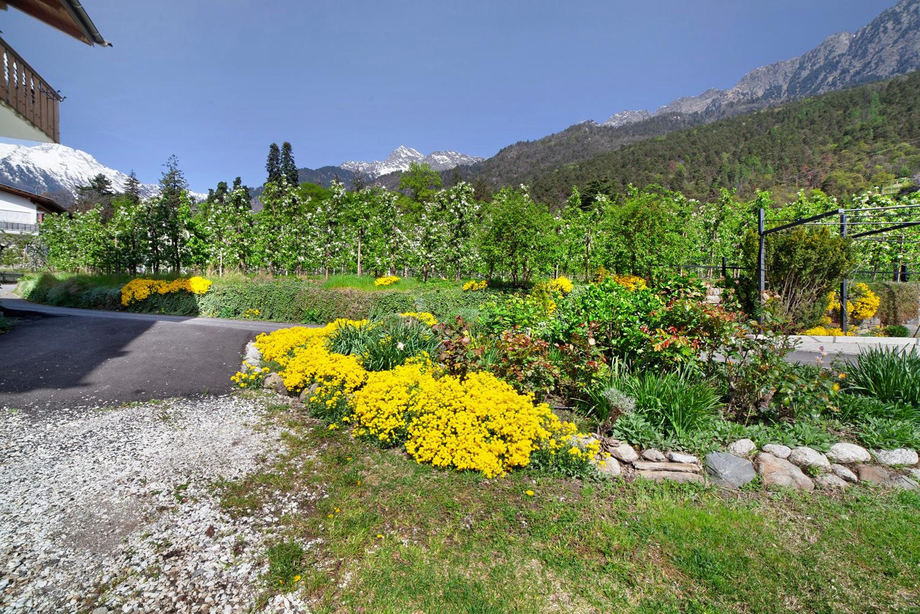 Fröhlichhof Wohnung Panorama