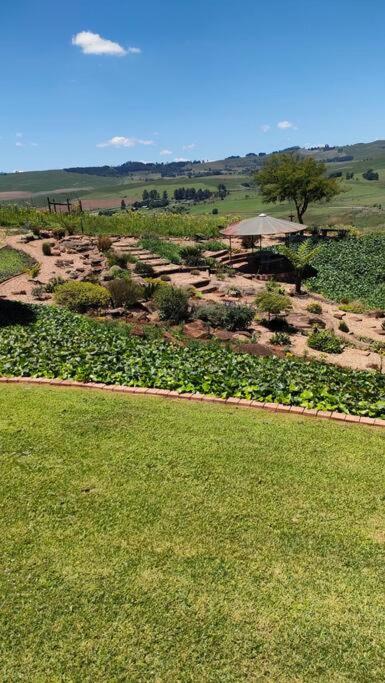 Serenity Alpaca Self Catering Cottage view 2