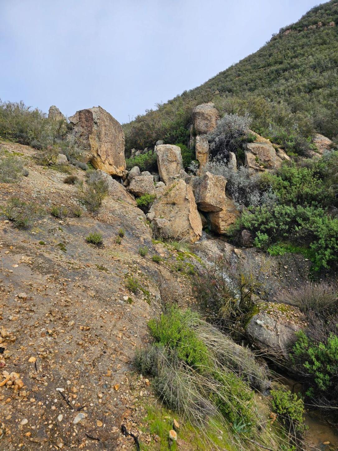 Photo 43