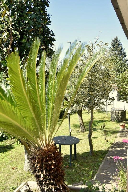 Casa della Genovina view 3