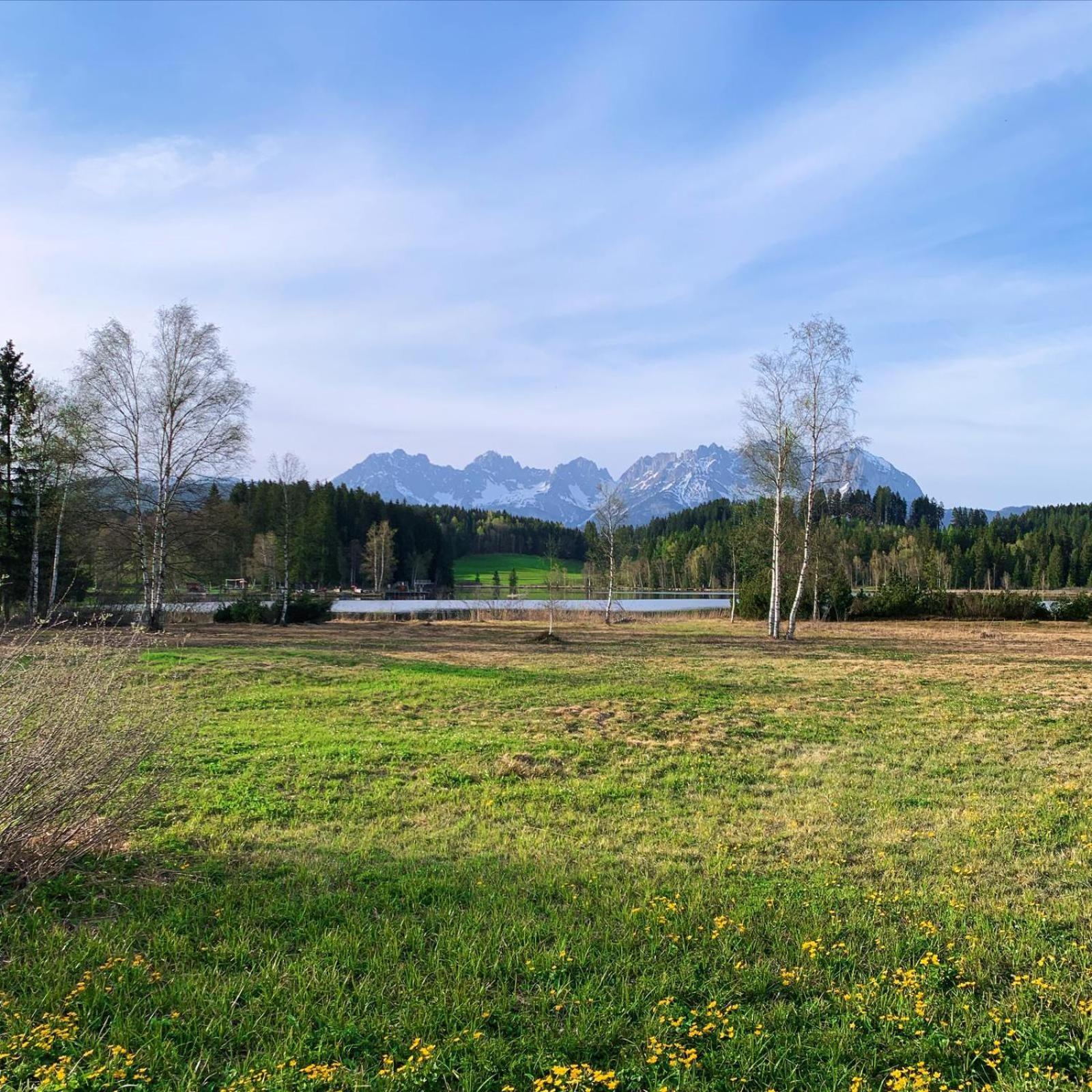 Waldnest
